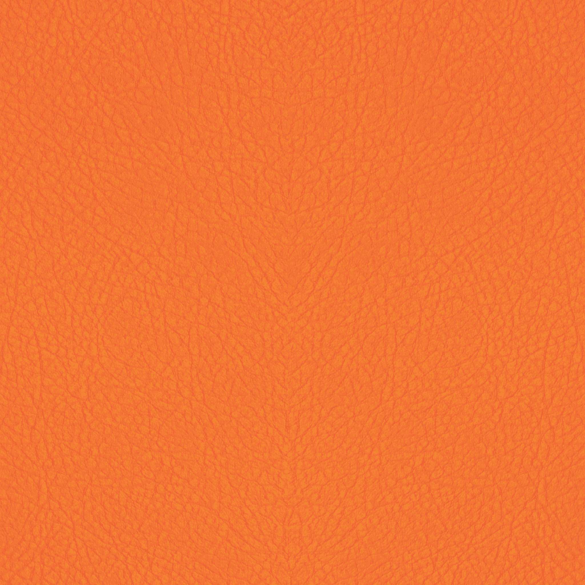 Vibrant Orange