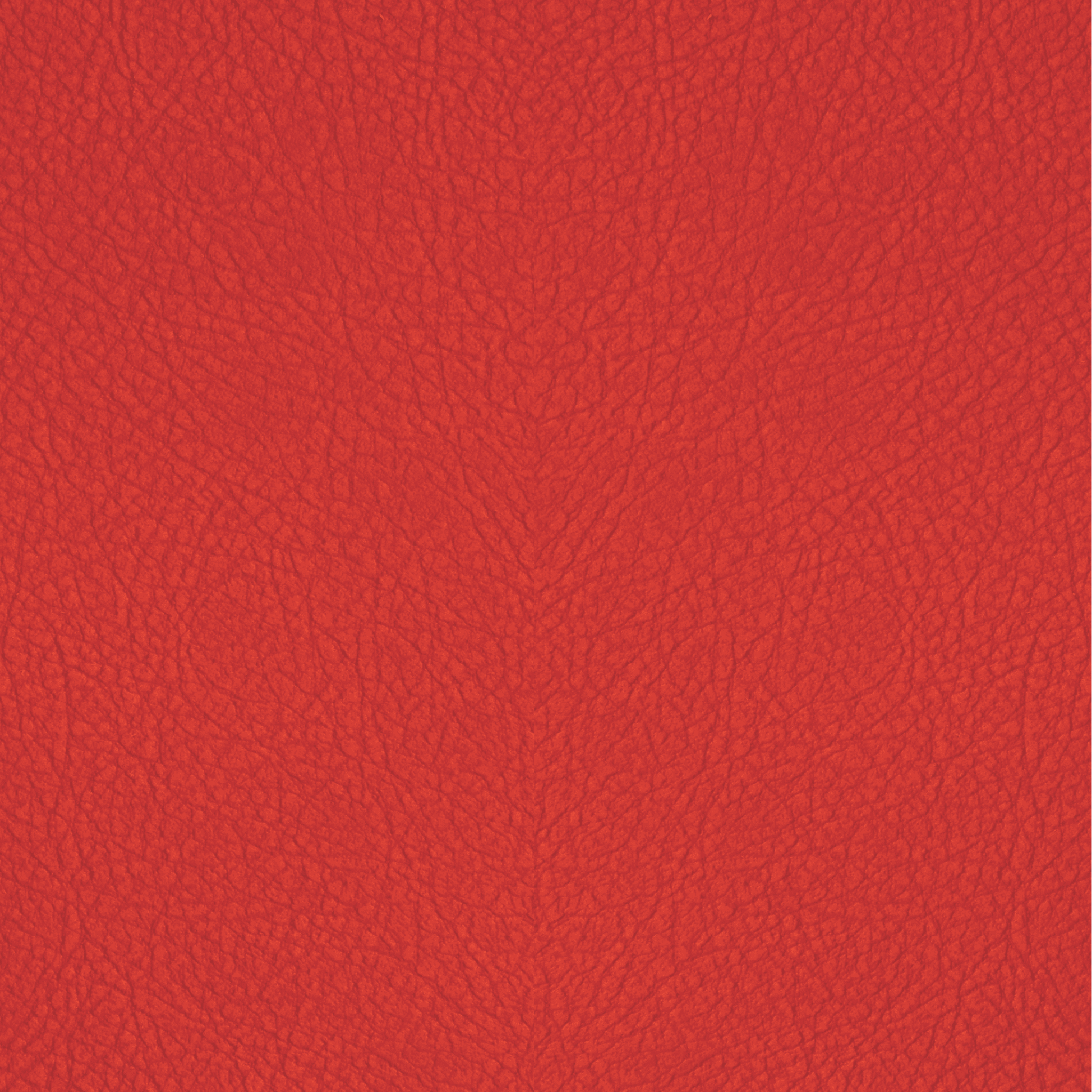 Bold Red