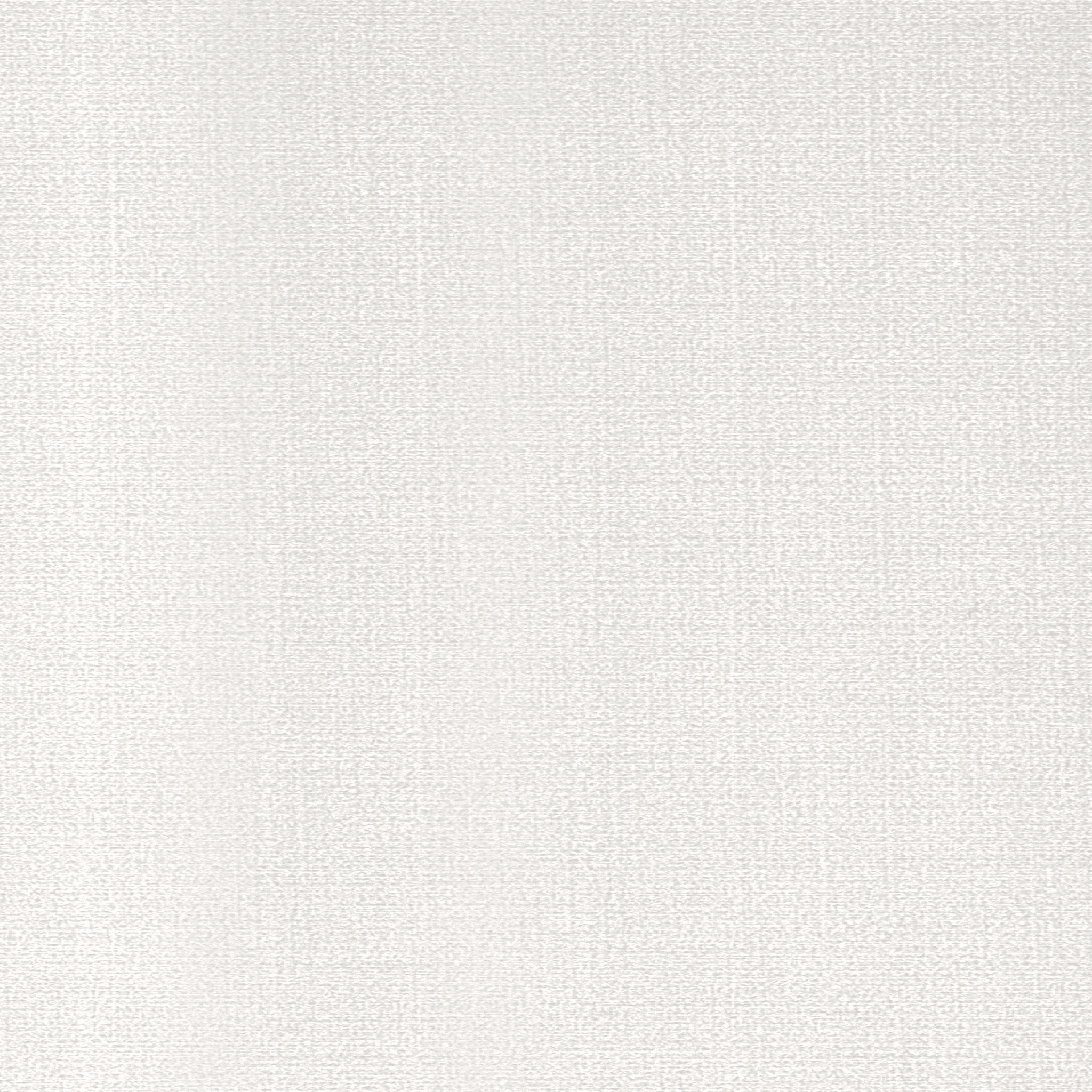 Light Silver/Off-White