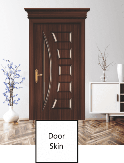 Door Skin